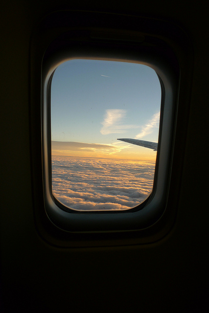 000000361497