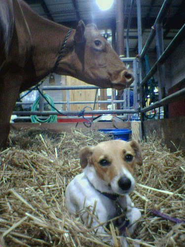 000000436638