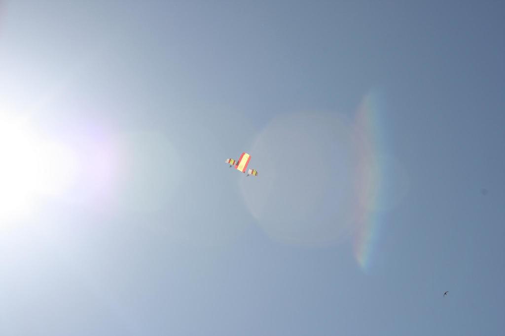 008b5d9932d88194