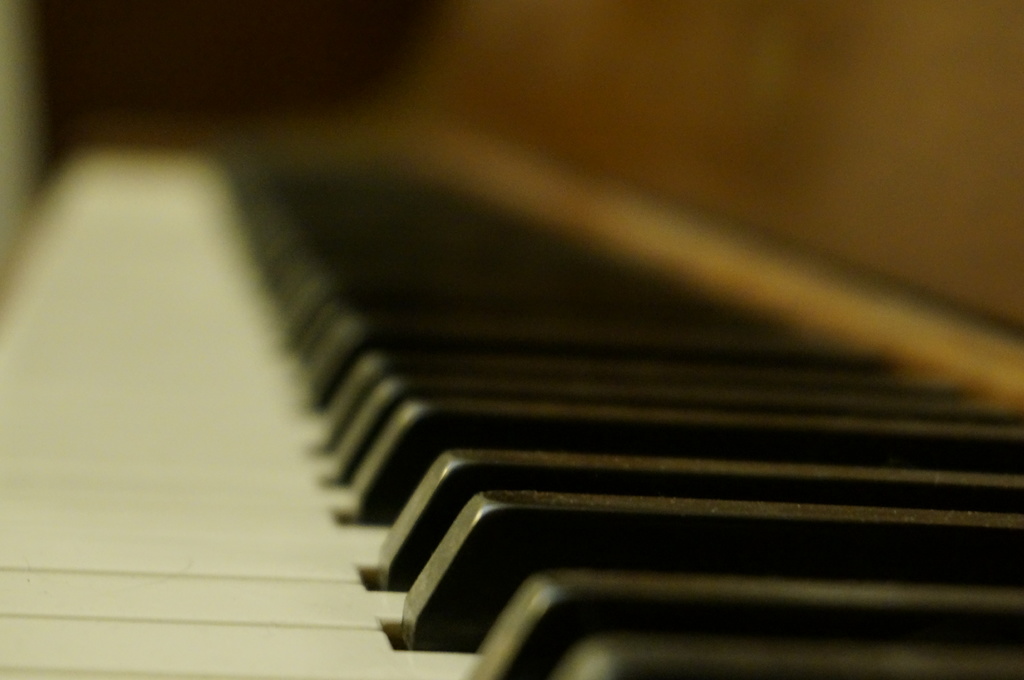 1df7056e17d500c4