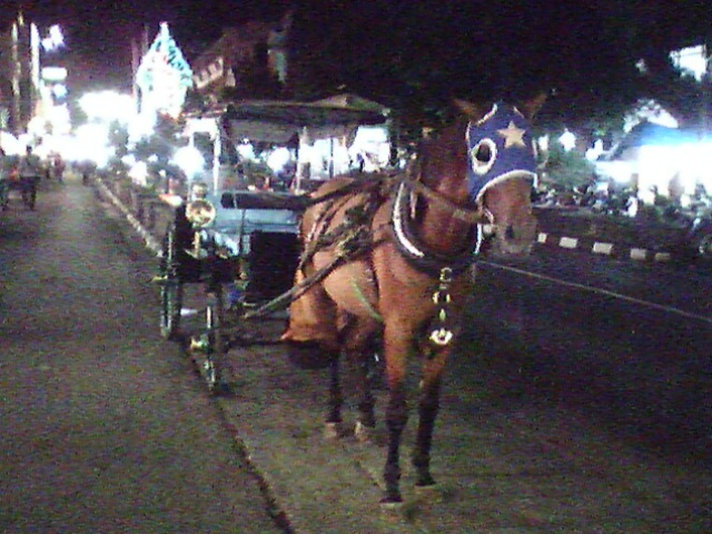 2006ebda678b02c1
