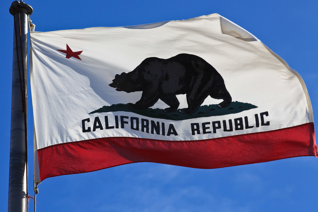 2ca05a60770f9bca