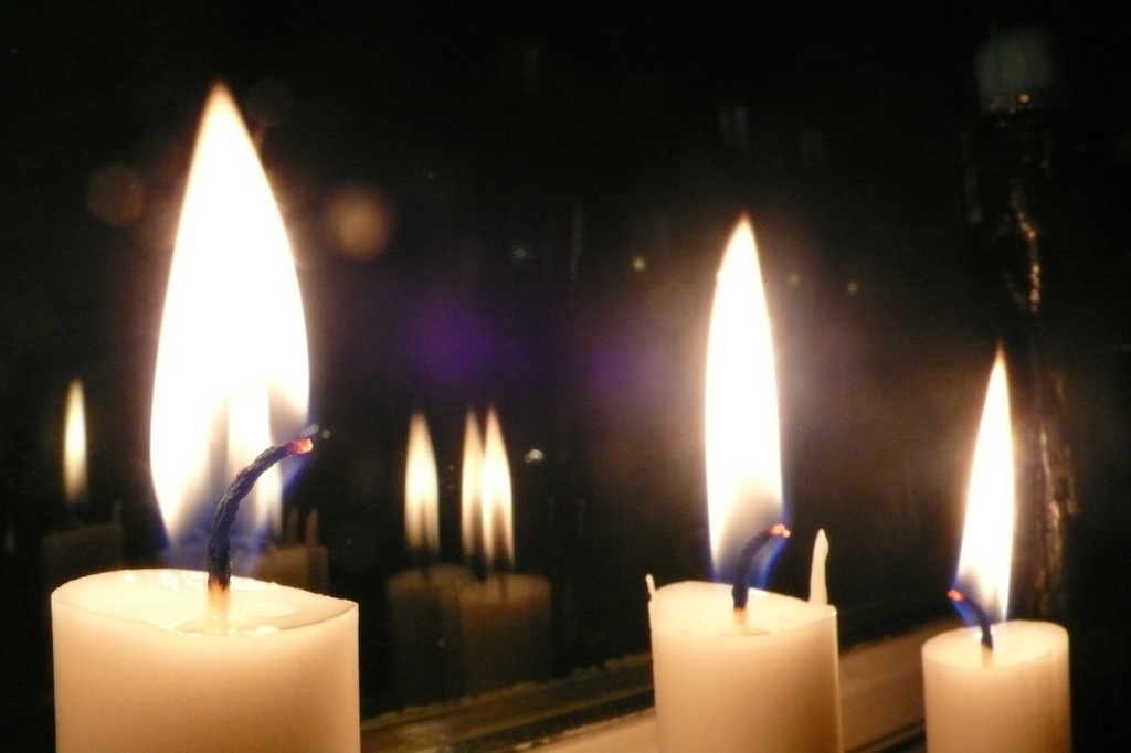 726ef5faae41e049