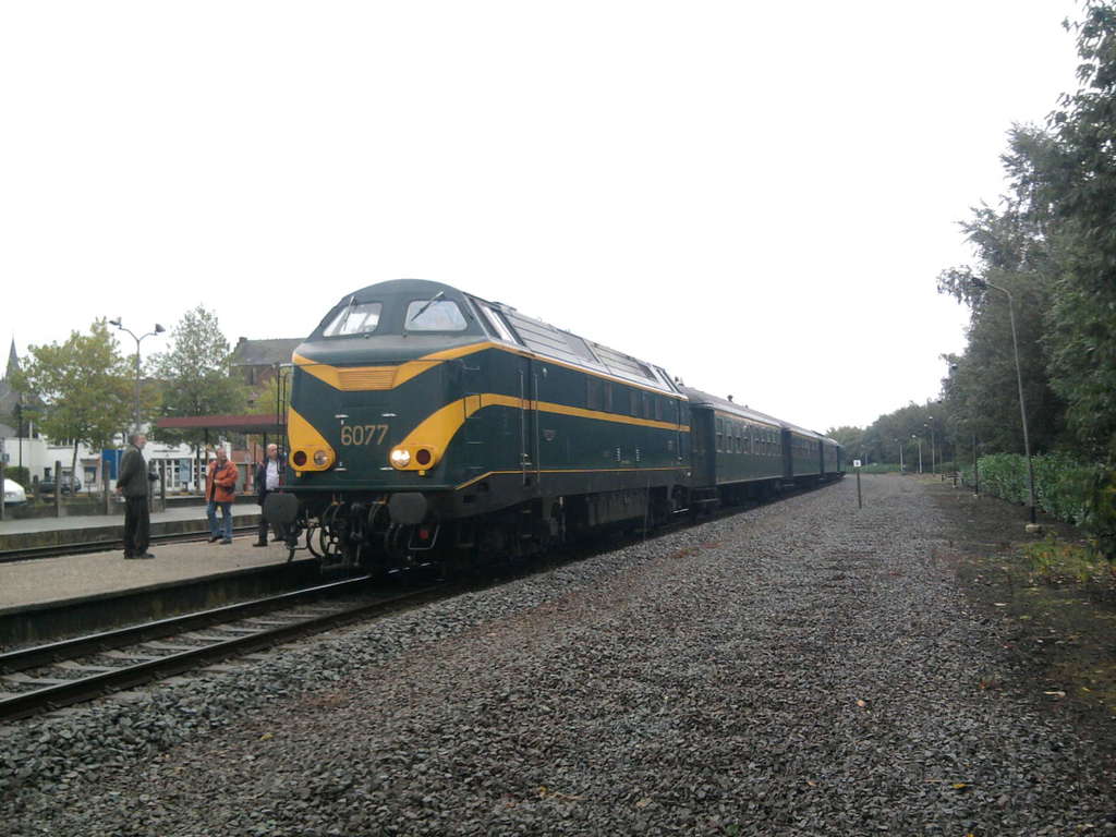 73d2181d28d75b56
