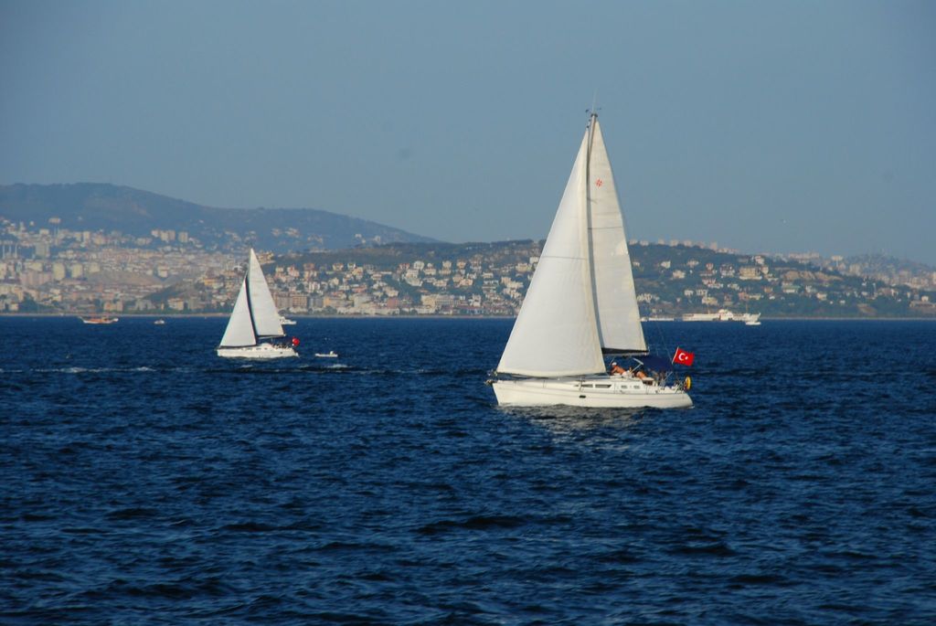 821879cd6514d998