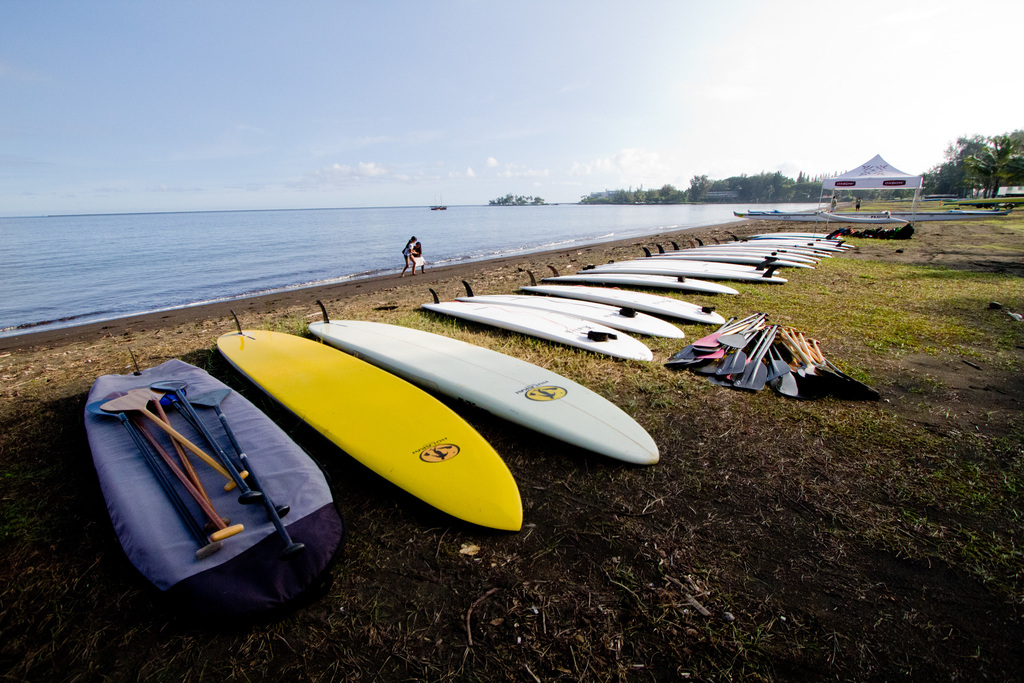 92f4047cc71b8e6e