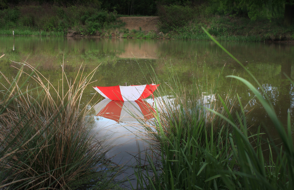 a34cf1c90544ec09