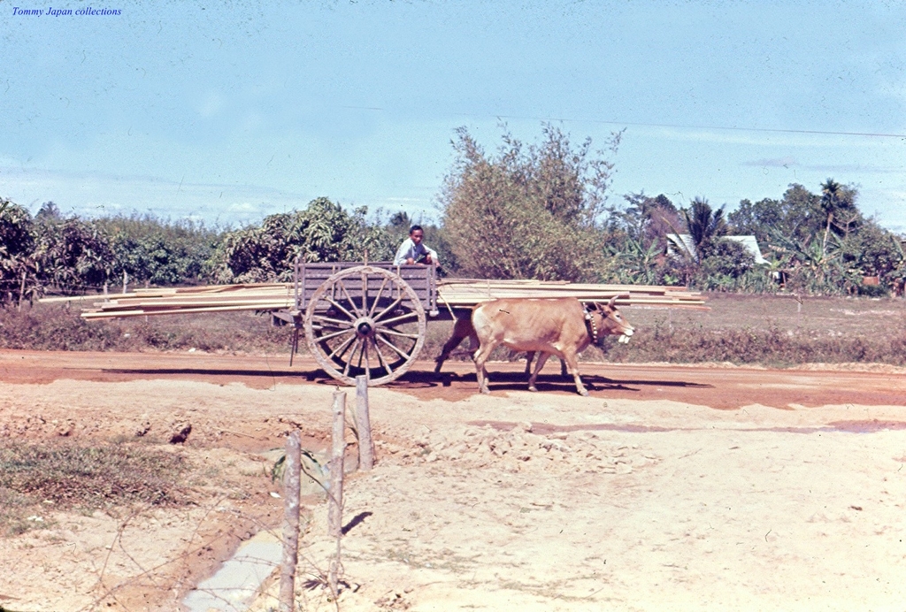 d11077adbe9e1937