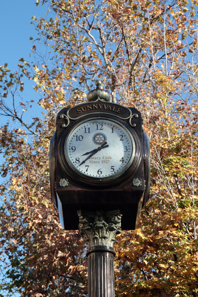 d98532b5c8891498