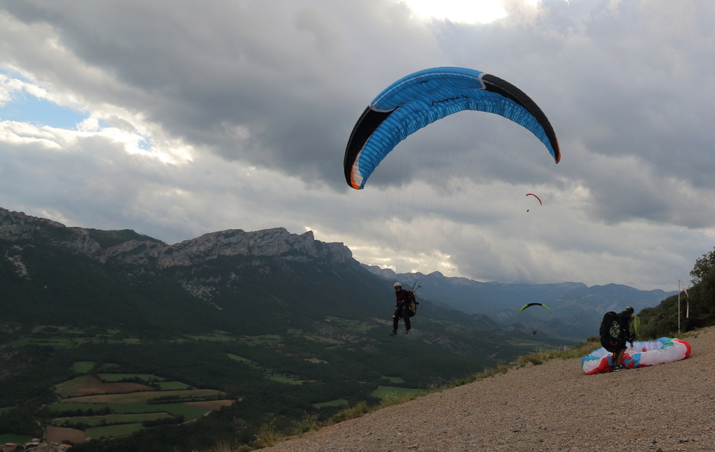 f260cad056c68aef